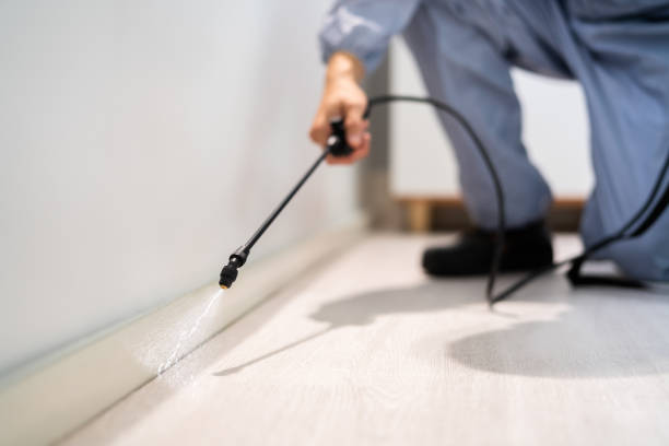 Certified termite inspector examining foundation in Tucumcari